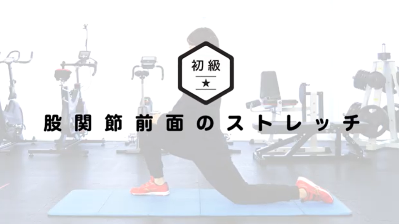 貯筋生活　レッドテリアーズ　下山絵理選手